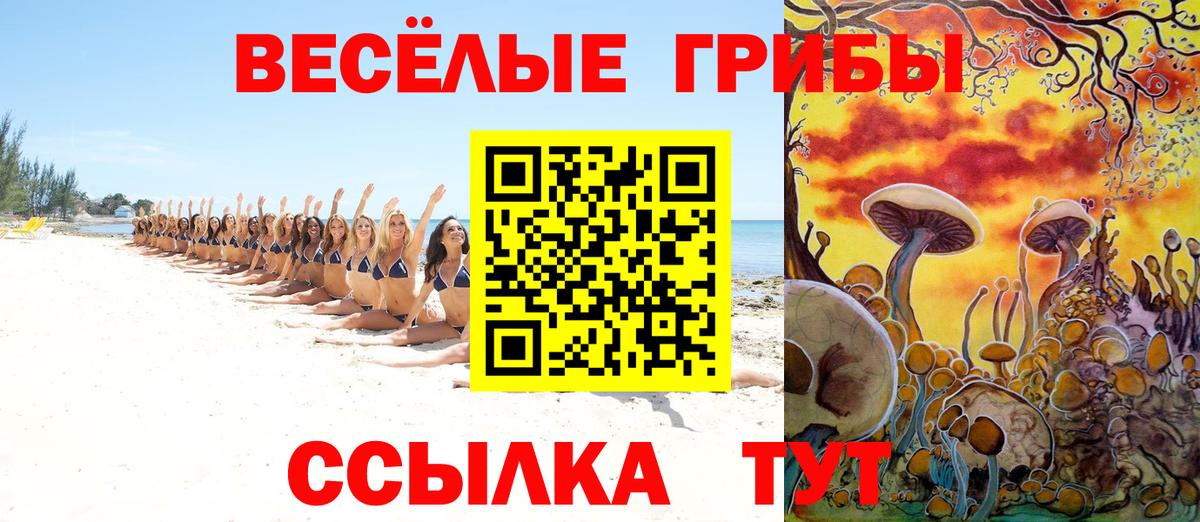 Псилоцибиновые грибы Psilocybe  Вход с VPN  Курган 